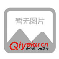 供應塑料衣架、兒童衣架、內衣衣架